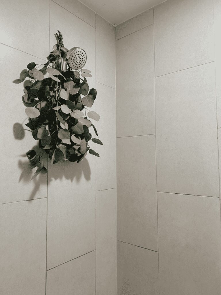 How to hang eucalyptus in your shower