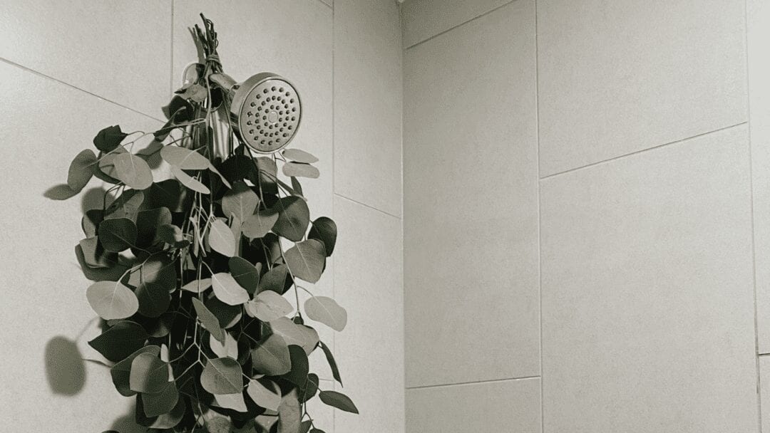 hanging eucalyptus in shower