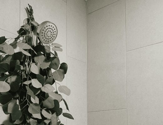 hanging eucalyptus in shower
